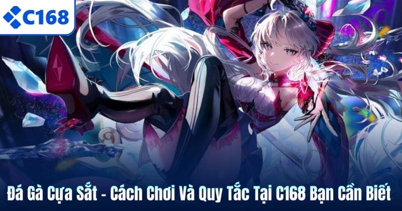 Đá Gà Cựa Sắt - Cách Chơi Và Quy Tắc Tại C168 Bạn Cần Biết 2 Đá Gà Cựa Sắt - Cách Chơi Và Quy Tắc Tại C168 Bạn Cần Biết